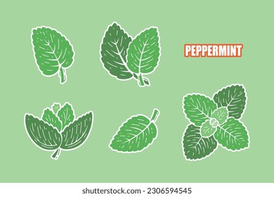 Peppermint Green Leaves Stickers. Fresh Mint Leaf Sticky Label Set. Medicinal Plants and Spicy Herbs icons. Vector illustration.