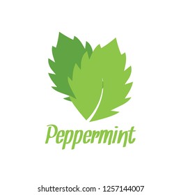 Peppermint green logo design template vector illustration