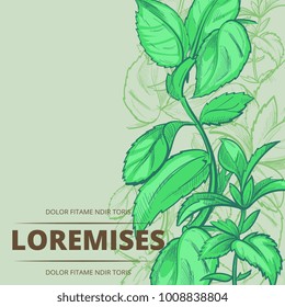 Peppermint green plants and leaves poster banner background. Vector illustration