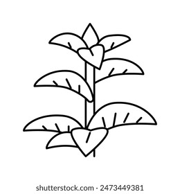 peppermint herb line icon vector. peppermint herb sign. isolated contour symbol black illustration