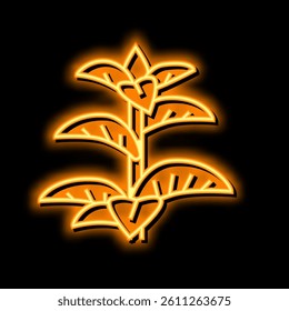 peppermint herb neon light sign vector. peppermint herb illustration