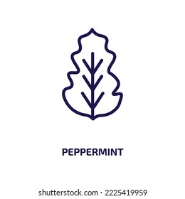 icono de menta de la colección de naturaleza. Pimentero lineal delgado, colección, icono de contorno de decoración aislado en fondo blanco. Signo de menta de pepperminación vectorial de línea, símbolo para web y móvil