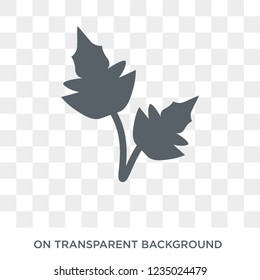 Peppermint icon. Trendy flat vector Peppermint icon on transparent background from nature collection. 