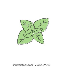 Ilustração de hortelã-pimenta. A hortelã deixa a planta. Erva, tempero culinário, condimento para refeição. Vetor