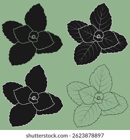Peppermint leaf set Mint leaf outline and silhouettes vector illustrations.