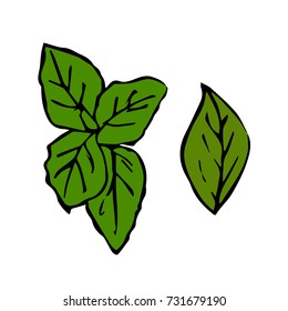 Peppermint leaf vector illustration. Doodle style. Design icon, print, logo, symbol, decor, textile, paper.