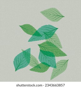 Peppermint leaves falling transparent with riso print effect vector illustration.