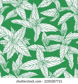 Peppermint Leaves Seamless Pattern. Green Floral Background with Hand Drawn Fresh Mint Leaf. Medicinal Plants or Spicy Herbs Vector illustration.