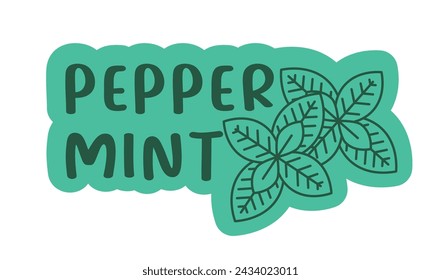 Peppermint leaves vector, white isolated, for product labels, health guides, aromatic themes.