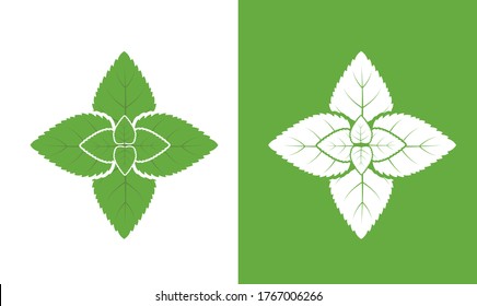 Peppermint mint isolated on white. Vector illustration.