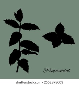  Peppermint mint shadow botanic natural card template