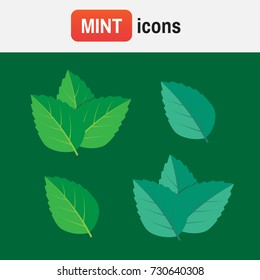 Peppermint mint vector. Mint green vector illustration set