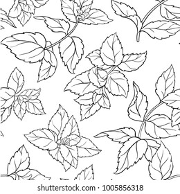 Peppermint Seamless Pattern