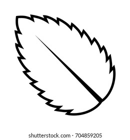 Peppermint / Spearmint mint or mentha leaf line art vector icon for apps and websites