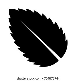 Peppermint / Spearmint mint or mentha leaf flat vector icon for apps and websites