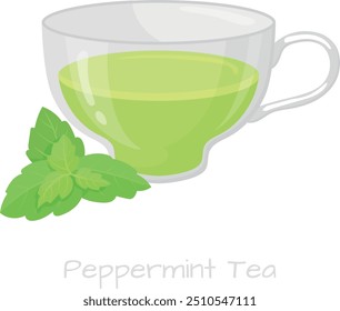 Té de menta. Bebida de la hoja verde herbal del aroma aislada en el fondo blanco