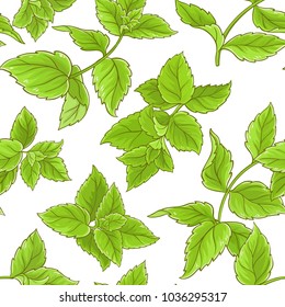 peppermint vector pattern