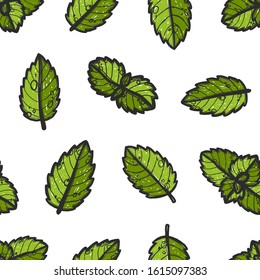 Peppermint vector seamless pattern. Grunge stylized mint leaves on white background. Aromatic leaf spearmint herb. Menthol wrapping paper, wallpaper, textile design