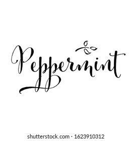 Peppermint writing. Handwritten calligraphy lettering composition. Vector illustration logo. Design for postcards, t-shirts, banners, greeting card, event, flyer. 