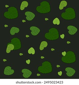 peppermint,Green leaves,Mint, Mint family, holy basil, leaves have a scent, vector illustration of leaves