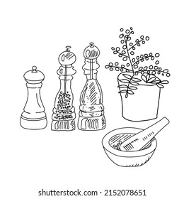 Peppermints, pestle and mortar and flower pot. Vector hand drawn line sketch of seasonings products.