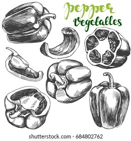 peppers bell vegetable set hand drawn vector illustration realistic sketch