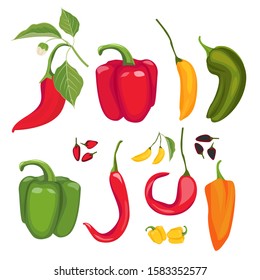 Peppers. Hot spices fresh jalapeno paprika cayenne vector cartoon red peppers collection