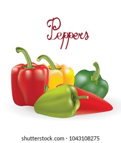 Peppers set on white background, vector