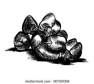 peppers, vector illustration