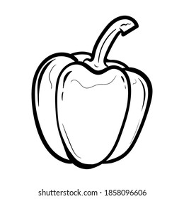 peppers. Vector illustration of sweet pepper. Hand drawn pepper. Sketch paprika. pepper line art
