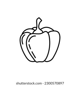 peppers. Vector illustration of sweet pepper. Hand drawn pepper. Sketch paprika. pepper line art