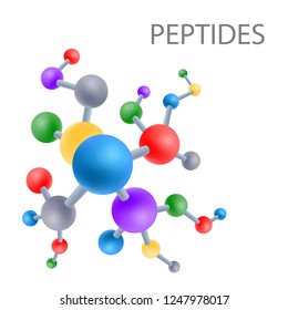 Peptide structure the structure of the amino acid, vector illustration