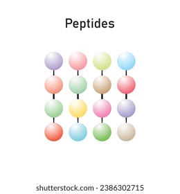 Diseño Científico de Peptides Moléculas. Ilustración vectorial.
