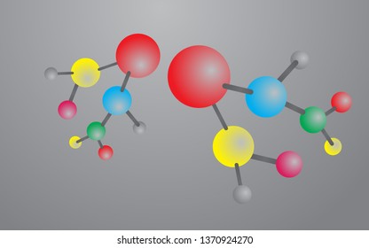 Peptides structure the structure of the amino acid, vector illustration