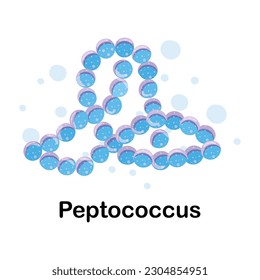 Peptococcus. Microorganisms. Medicine and health. Cartoon. Microbiota. Microbiome. Vector stock illustration. Isolated.Bacteria in the body.