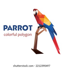 Perch Beautiful parrot in Polygonal Low poly. abstract Parrot Icon Vector. Parrot Illustration Logo