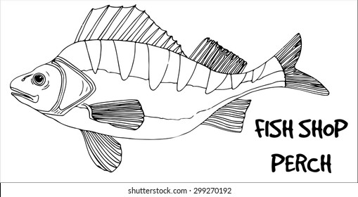 Nile Perch Fish Images Stock Photos Vectors Shutterstock