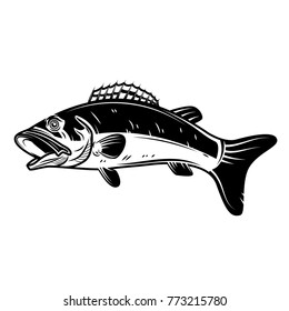 Perch fish icon isolated on white background. Design element for logo, label, emblem, sign. Vector illustration