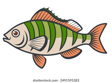 Perch fish isolated on white. Cartoon style vector illustration.