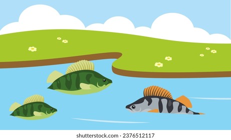 Perch and fish on the lake. Vector illustration in flat style