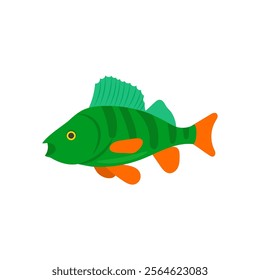 Perch Fish Seafood Vector Illustration, Isolated