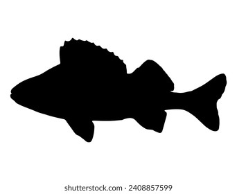 Perch fish silhouette vector art white background