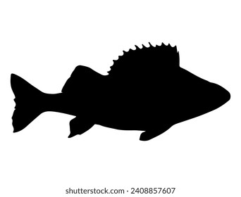 Perch fish silhouette vector art white background