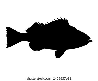 Perch fish silhouette vector art white background