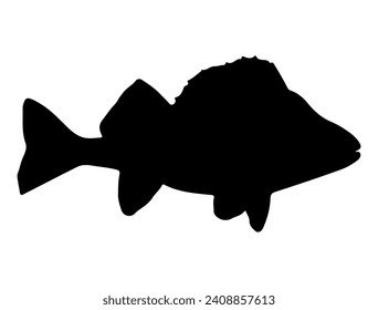 Perch fish silhouette vector art white background