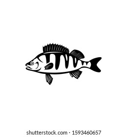 Perch fish. symbol winter fishing. detailed vector illustrations.