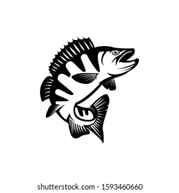 Perch fish. symbol winter fishing. river predator. detailed vector illustrations.