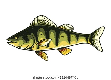 perch fish vector drawing for mascot, print or other