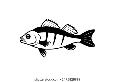 perch fish vector silhouette illustration 