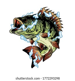Perch fish in water splashes concept in vintage style isolated vector illustration